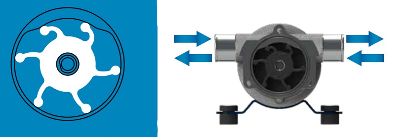 Pumpe mit Nitrilgummi Impeller für Frisch- und Salzwasser| 24V |Laufradpumpen, Marco UP1, Marco 162 002 13, UP1