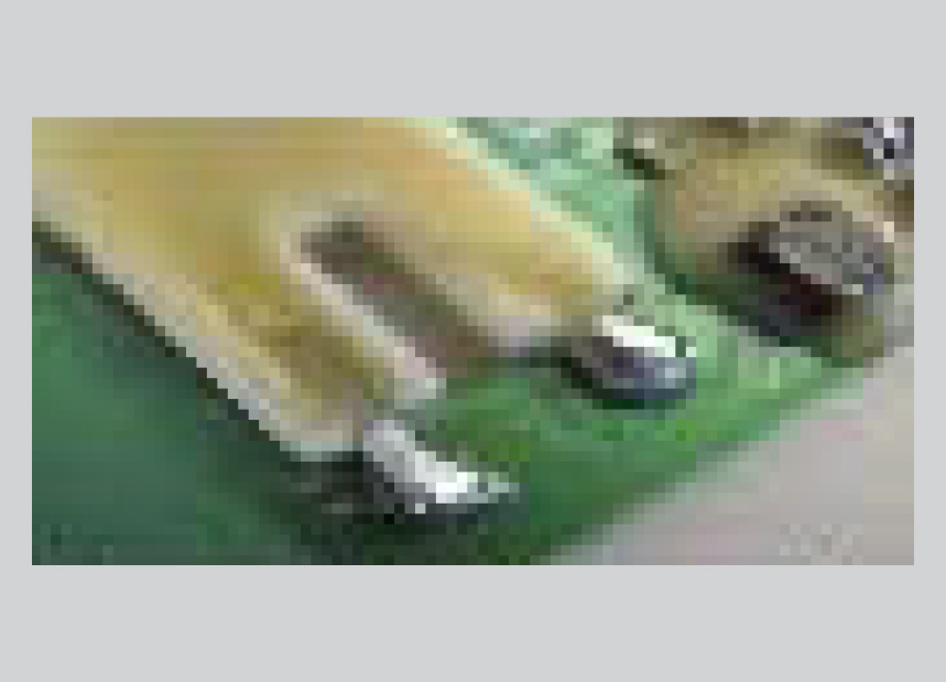 Feu LED de Directionnel / Position | 12V | Jokon E13-35232 – Image 8