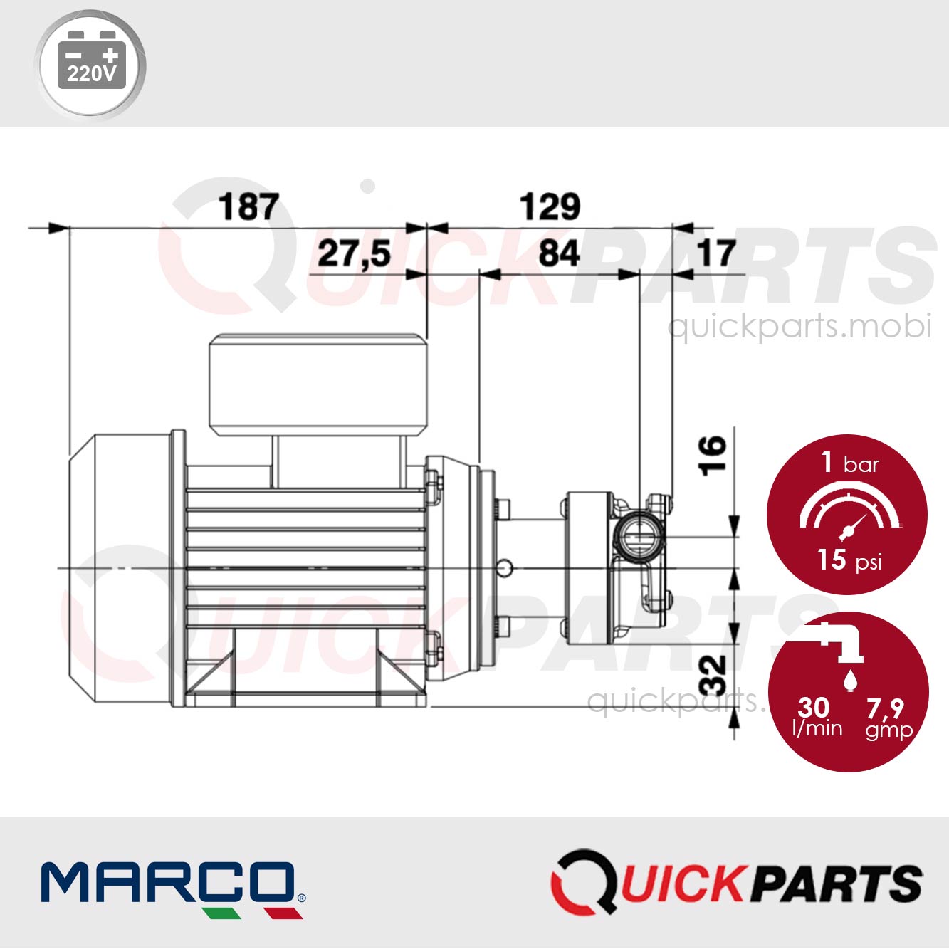Bombas eléctricas autocebantes de engranajes | 220V | Marco 164 001 1C - Imagen 5