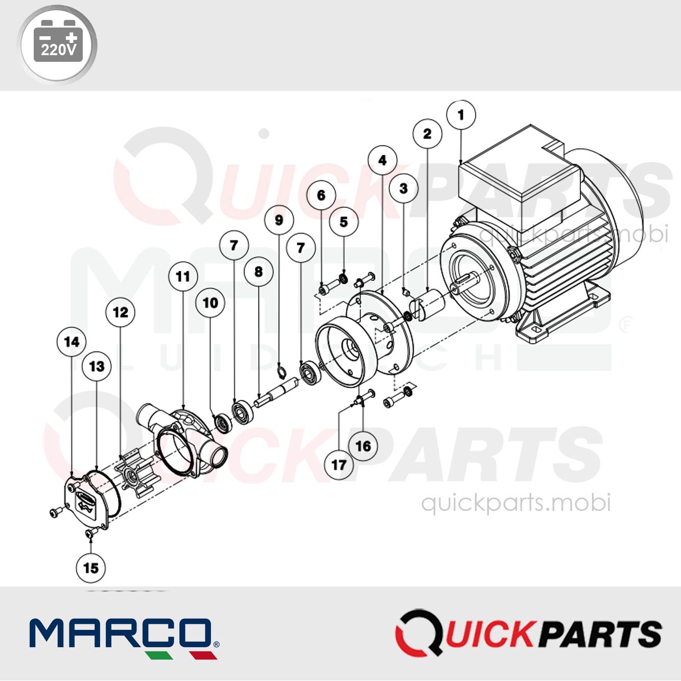 Bombas eléctricas autocebantes de engranajes | 220V | Marco 164 001 1C - Imagen 6